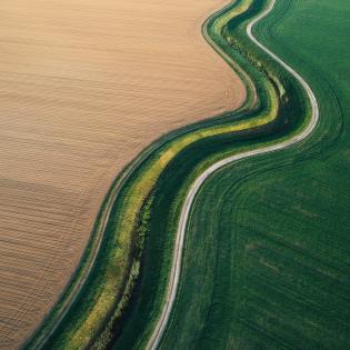 Empty trails winds through the rural area of wheat and plowed fields. Aerial view.