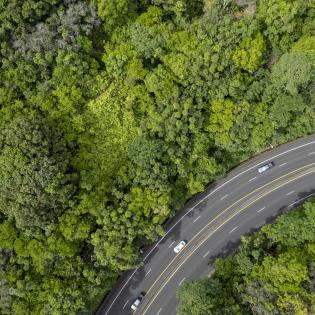 Aerial view of a highway through a lush forest
