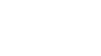 Axonius logo