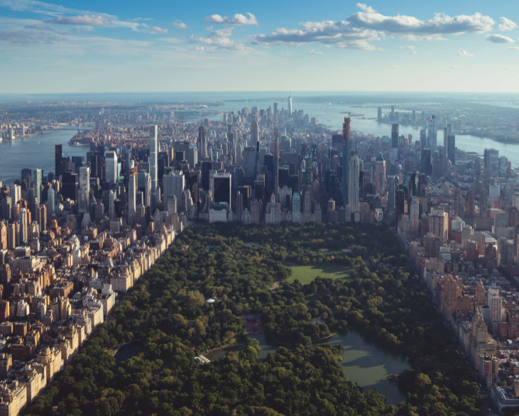 An image of Central Park in New York City