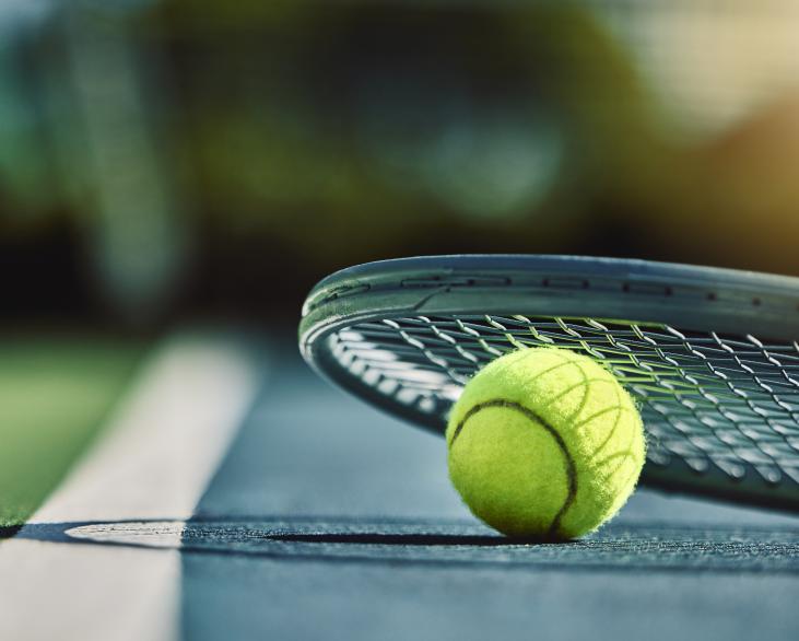 tennis ball resting on tennis court